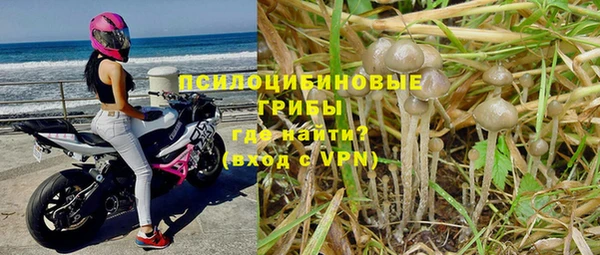 гидра Белокуриха
