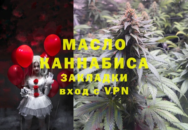 твердый Снежногорск