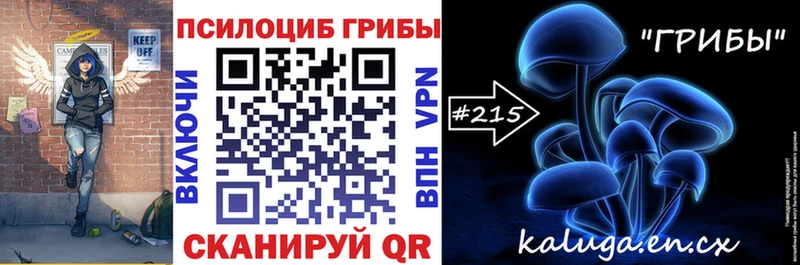 Псилоцибиновые грибы Psilocybe  дарнет шоп  Вятские Поляны 