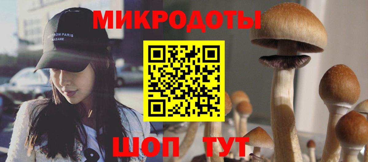 цены наркотик  Галлюциногенные грибы Psilocybine cubensis  Вход с VPN  Вятские Поляны 