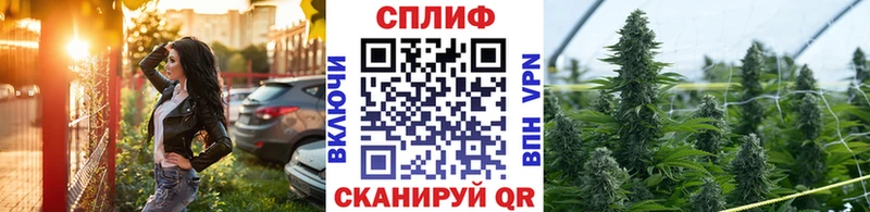 Канабис VHQ Вятские Поляны